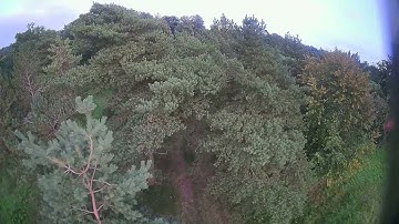 #Shorts - Tree Powerloop into the gap