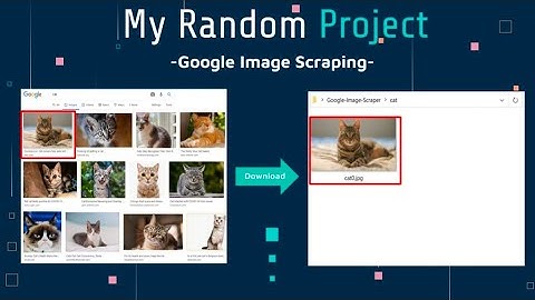 Python Google Image Web Scraping
