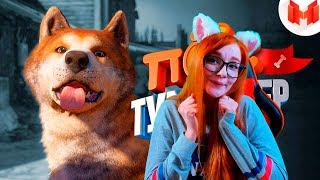 Far Cry New Dawn "Баги, Приколы, Фейлы" РЕАКЦИЯ НА MARMOK МАРМОК Far Cry New Dawn "Баги, Приколы, Фейлы" РЕАКЦИЯ НА MARMOK МАРМОК
