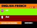 FROM ENGLISH TO FRENCH  cat