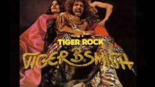 Video thumbnail of "Tiger B. Smith- Tiger Rock"