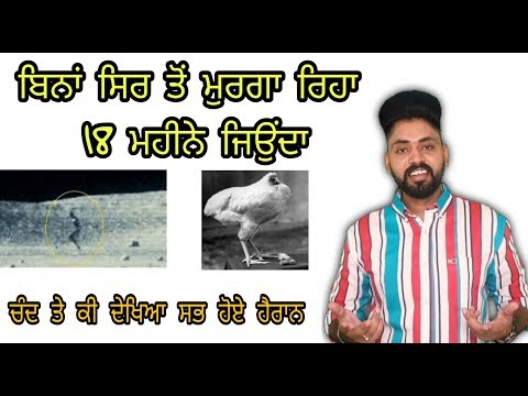 Moon Te Dekhya Alien NASA ਵੀ ਹੈਰਾਨ । ਬਿਨਾਂ ਸਿਰ ਤੋਂ ਮੁਰਗਾ Reha 18 Month Jiyonda | Facts | Punjab Made