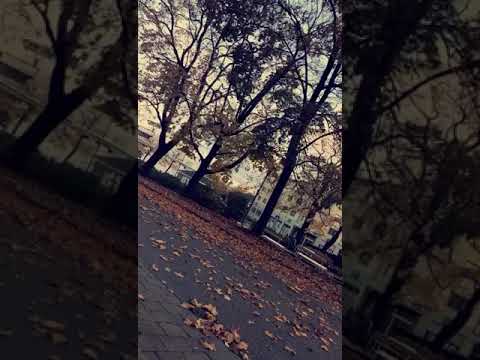 اجمل حلات وتساب شتاء