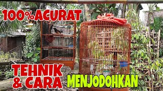 EFFECTIVE AND SAFE MURAI BATU MATCHING TECHNIQUES & METHODS FOR BEGINNERS