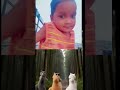 #funny #comedy #lifeisbutadream #haveitoldyoulatelythatiloveyou #cute #cutebaby