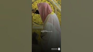 مقتطف من تلاوة فضيلة الشيخ #صلاح_البدير من صلاة التراويح ليلة 29 رمضان 1446