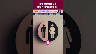 性別不只男和女？性別光譜是什麼意思？｜臺灣吧 Taiwan Bar #shorts