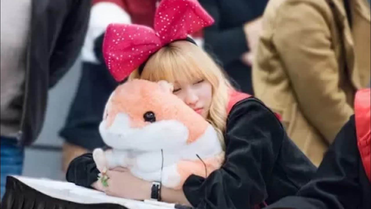 TWICE MOMO 모모 CUTE & FUNNY MOMENTS