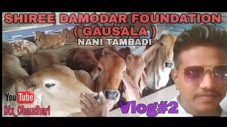 My First Vlog 😍 || My first video || DTV