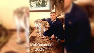 Mail qaracoplu Deyerlisen deyerli Qardas 2023