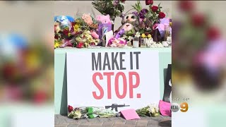 Shooting Survivors, Students Mobilize For Gun Control