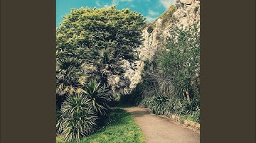 Luxurious Backdrops for Finding Clarity