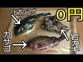 この釣れた魚だけで『最高の夜食』作ってみた！