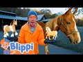 Blippi&#39;s Horsin&#39; Around: Rodeo Clown Comedy! 🤠🐎 | BLIPPI | Kids TV Shows | Cartoons For Kids