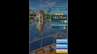 Mobirix anzol de pesca Sawedged Perch fishing hook Bornéu screenshot 4