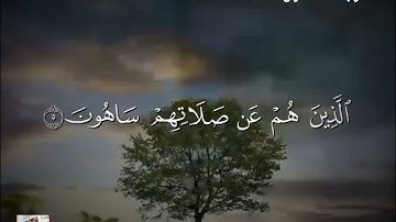 سورة الماعون "محمد بكر حجازي"