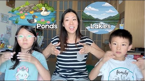 CC Cycle 2 Week 8 Science