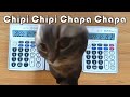 Chipi Chipi Chapa Chapa Calculator Cover 