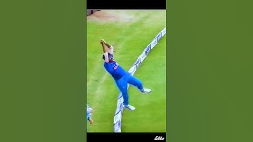 3 Impossible Catch in Cricket World #shorts #viral