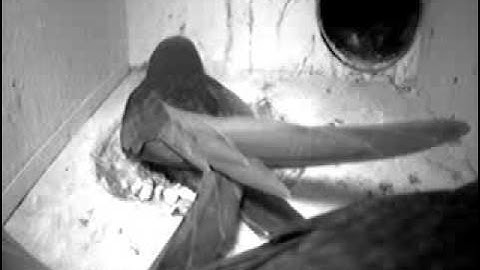 vertrek laatste jong  20-07-09   22.27 uur