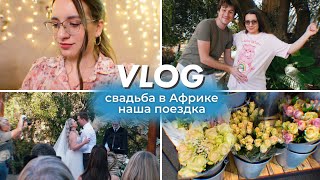 VLOG: свадьба в дикой Африке | наша поездка на ферму