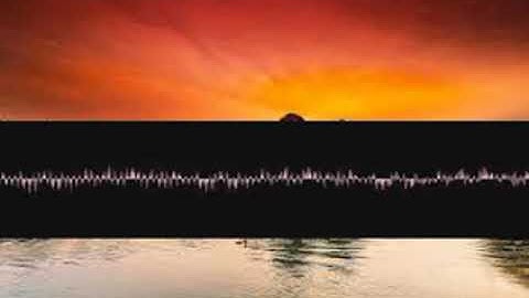 Albumbridge Hyporchema yhetmdtvxl