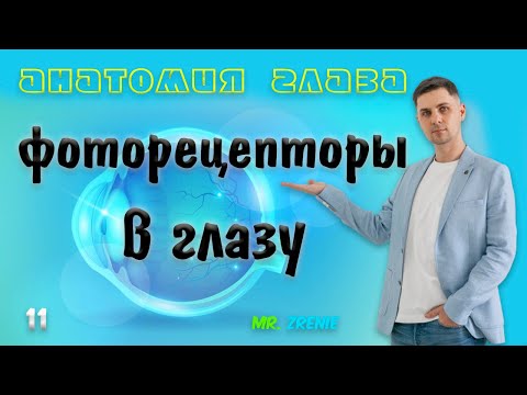 Видео: Как производится йодопсин?