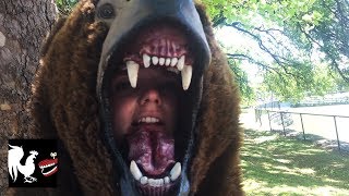 bear dance