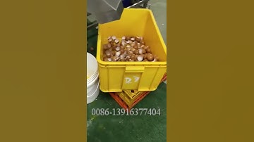 Egg separating, filtering and pasteurization machine for sale