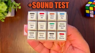 Which Cherry MX Switch is Best?  + Sound Test (Cherry MX Brown, Silent Red, Blue and more!!!) screenshot 2