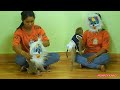 Adorable Monkey Kako Request Mom Wear Cat Mask Very Funny