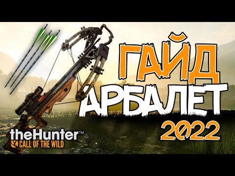 Видео: theHunter Call of the Wild - Арбалет - Гайд для новичков - 2022