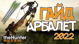 theHunter Call of the Wild - Арбалет - Гайд для новичков - 2022