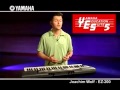 Best Electronic Keyboards for Beginners  Best Electronic ...