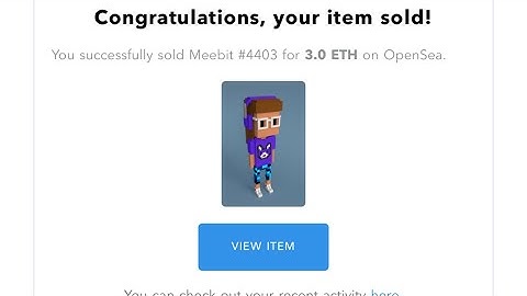 MeeBit Officially Sell Out (5 Hours)