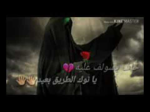 يا نوك طريج بعيد سيد فاقد الموسوي حالات واتساب تبادل اشتركات