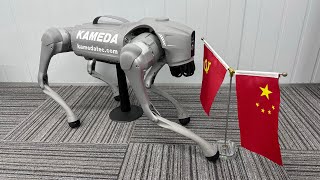 New 2023 dog robot Unitree Go2