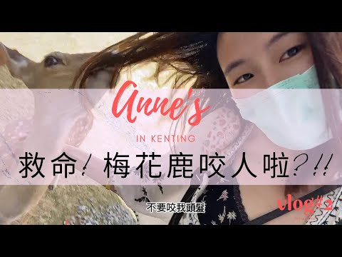 {Anne's 一人遊墾丁#vlog2} 自由行旅遊墾丁該怎麼玩景點- 沒做過這些事 就不要說你去過墾丁 (上)