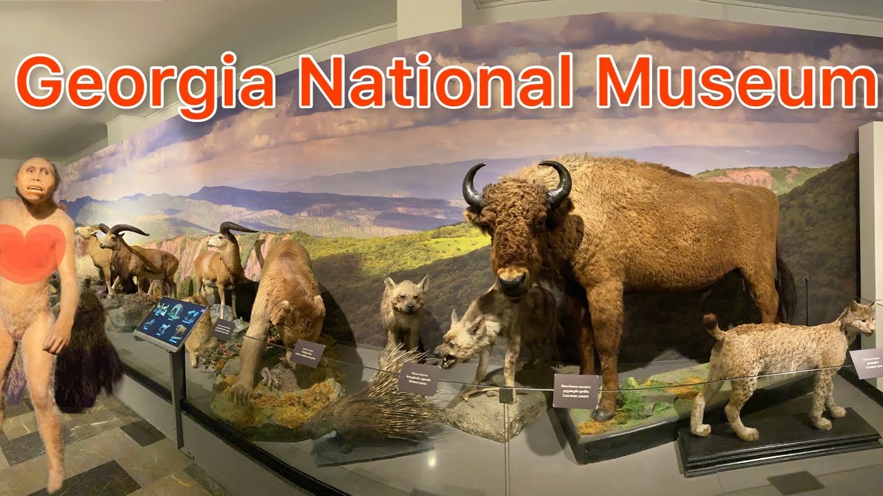 Georgia National Museum