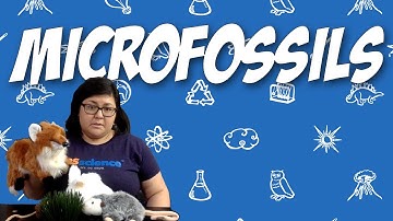 Microfossils