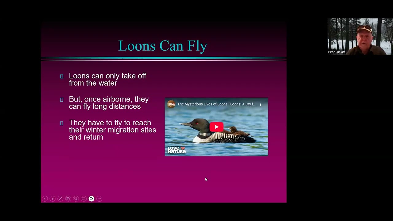 Eastman - Loons - Dec. 2025