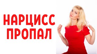 видео: Почему нарцисс пропадает без объяснения причин картинка: Почему нарцисс пропадает без объяснения причин