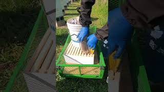 Honeybee Smoker and Hive Tool #Shorts