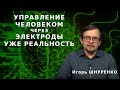 Людей подключают к ИИ через электроды. Игорь Шнуренко