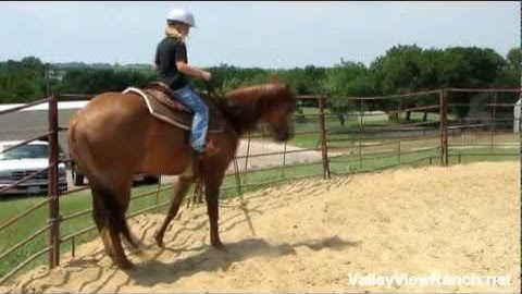 Catolena Ichi -  ***For info, price, etc., go to our website***    Valley View Ranch