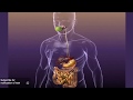 Metformin 500 mg and Side Effects - YouTube