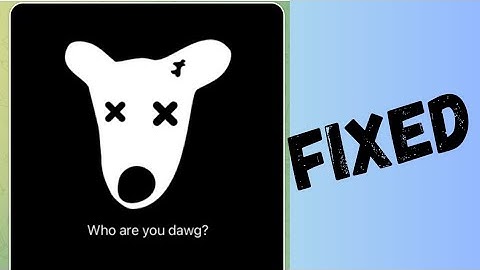 DOGS who are you dawg? (FIXED)