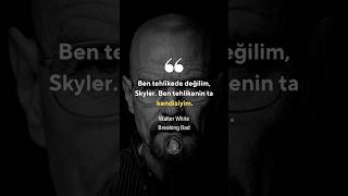 Ben Tehlikede Değilim, Skyler. Ben Tehlikenin Ta Kendisiyim. ,