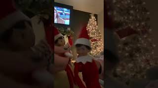 Livy Boolexi Bexi T-Rexi