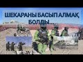 Батыл тойтарыс-2023. Шекараны қалай қорғайды? Көктал полигоны.